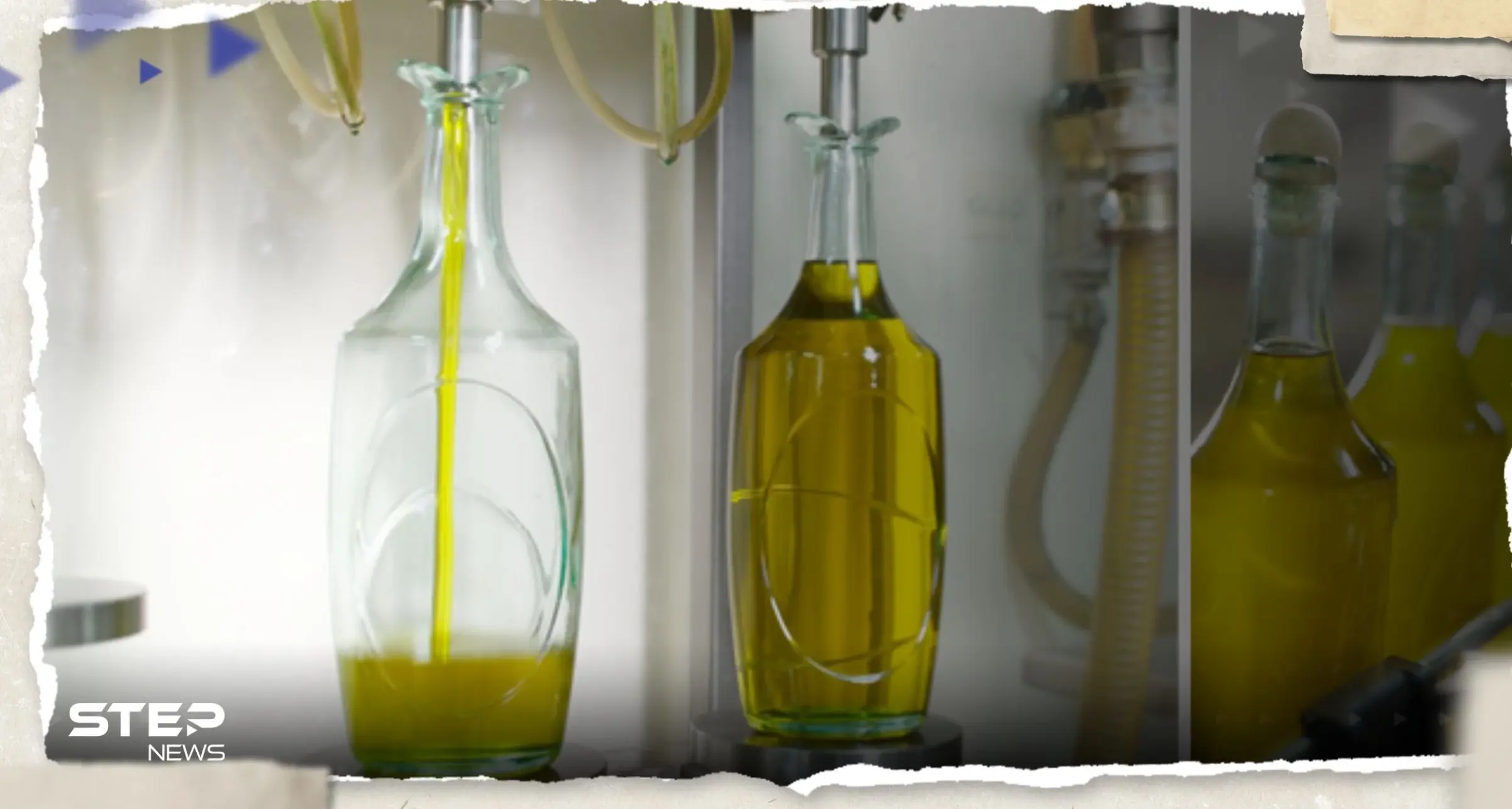 أرباح قياسية متوقعة من زيت الزيتون في دولة عربية: زيت الزيتون يحقق أرباح