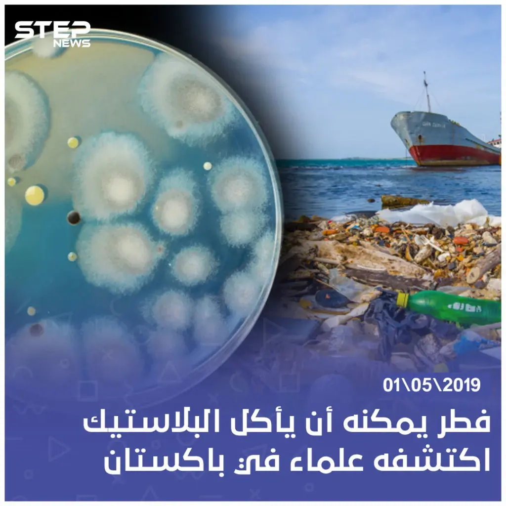 فطر يمكنه أن يأكل البلاستيك اكتشفه علماء في باكستان: باكستان