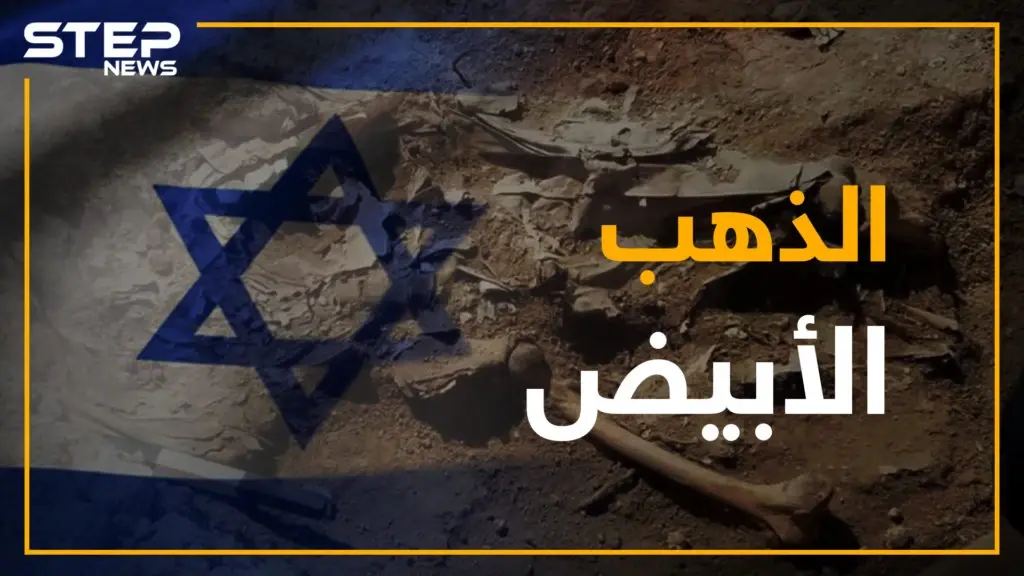 من العام 1982.. ما هو الكنز الذي يبحث عنه النظام في باطن الأرض؟: سلايد رئيسي