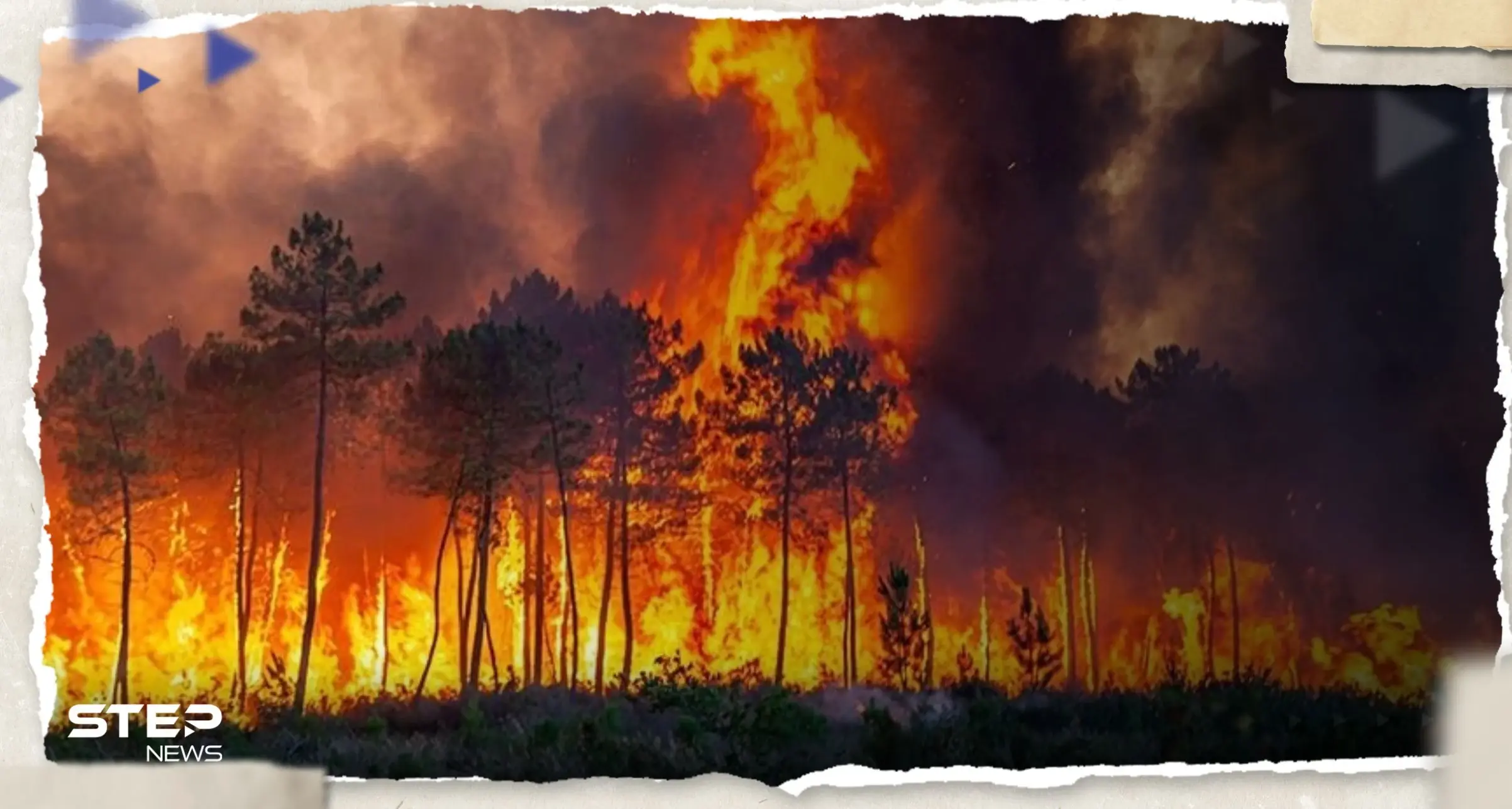 تعرف على أكبر 10 حرائق غابات في تاريخ العالم: مينيسوتا