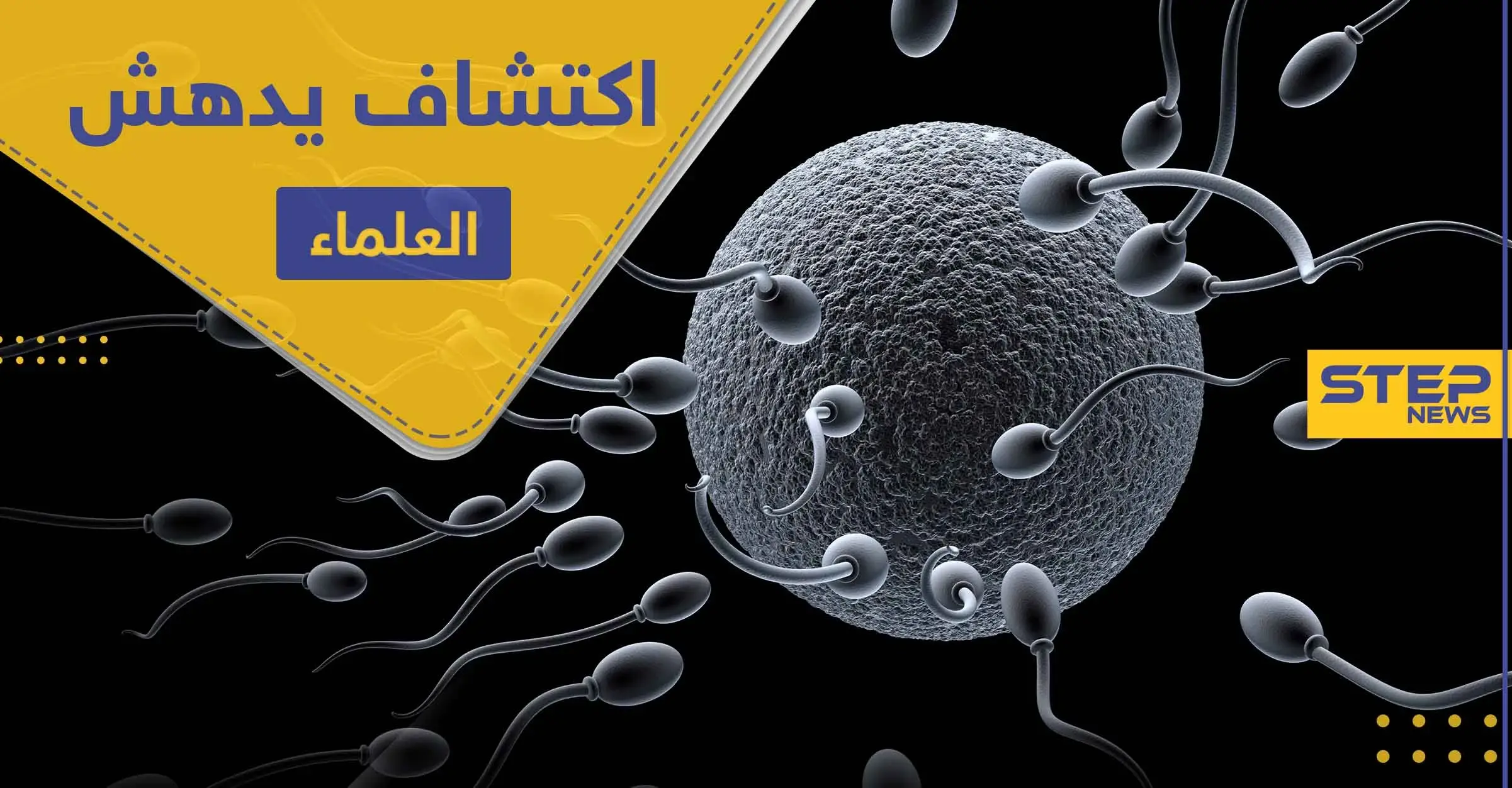 "بويضة المرأة هي التي تختار الحيوان المنوي".. اكتشاف يدهش العلماء: الإنجاب