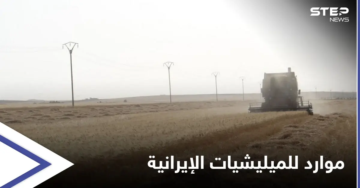 إما القبول أو المصادرة.. ميليشيات إيرانية تفرض على فلاحي دير الزور مقاسمة أرباح محاصيلهم: الفلاحين