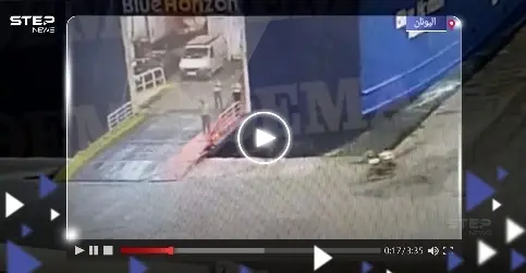 ما فعله اثنان من طاقم عبارة يونانية براكب تأخر عن الرحلة يثير ضجة كبيرة (فيديو): عبارة يونانية