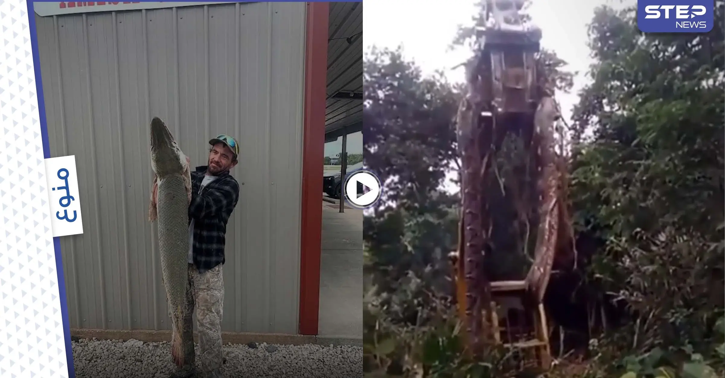 ثعبان عملاق بطول 10 أمتار يرعب سكان جزيرة إندونيسية.. وأمريكي يصطاد حيوان مائي نادر يعود لـ100 مليون عام (فيديو وصور): كانساس