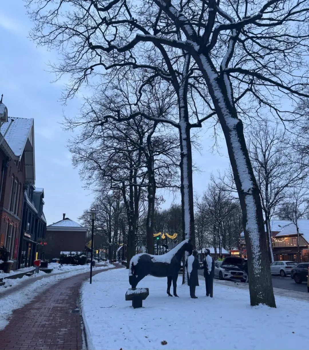 هولندا - عدسة الجمهور - وكالة ستيب نيوز