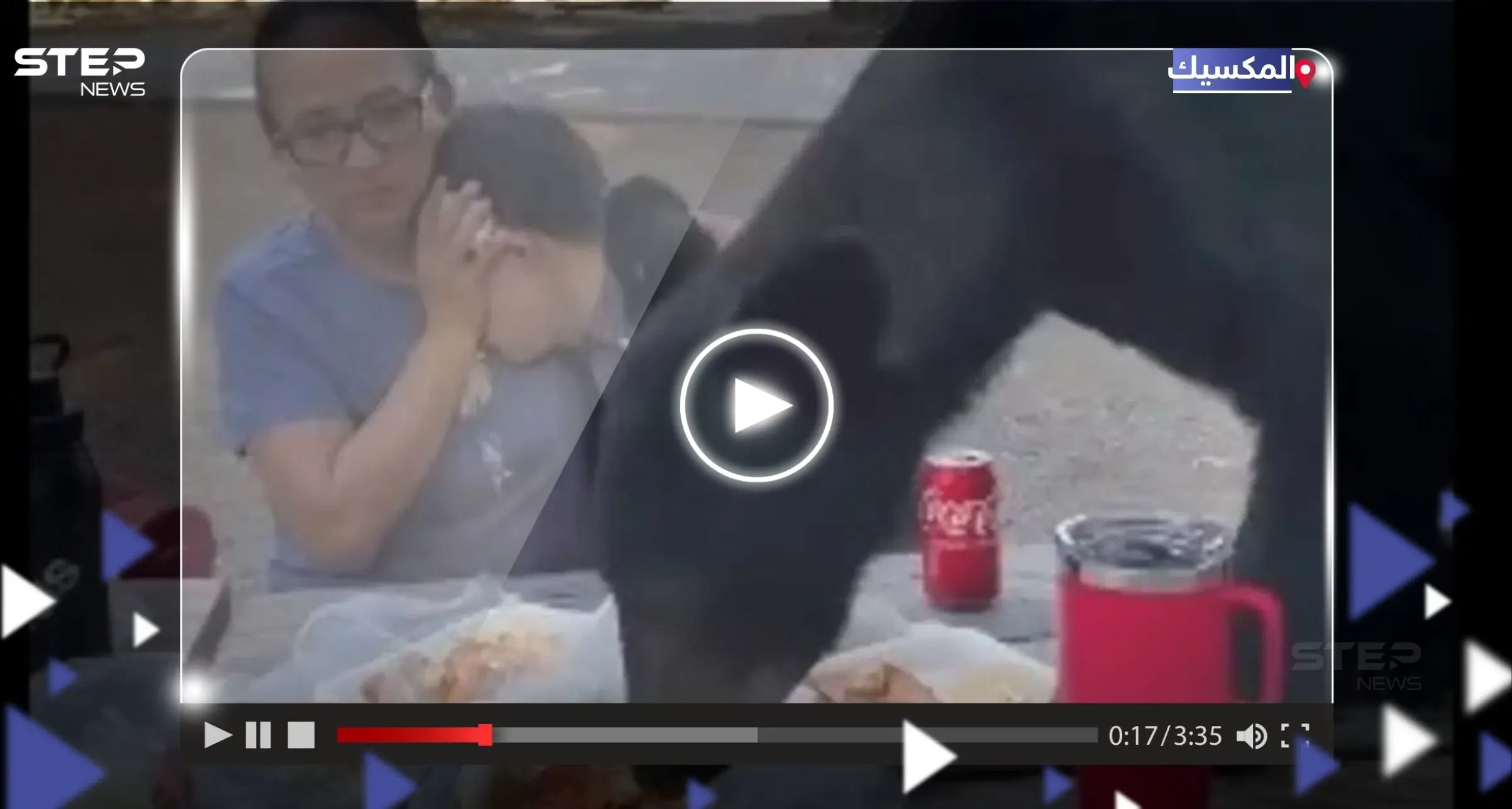 شاهد|| لحظات تحبس الأنفاس.. أم تحمي طفلها من دب "جائع" قفز على طاولتهما: المكسيك