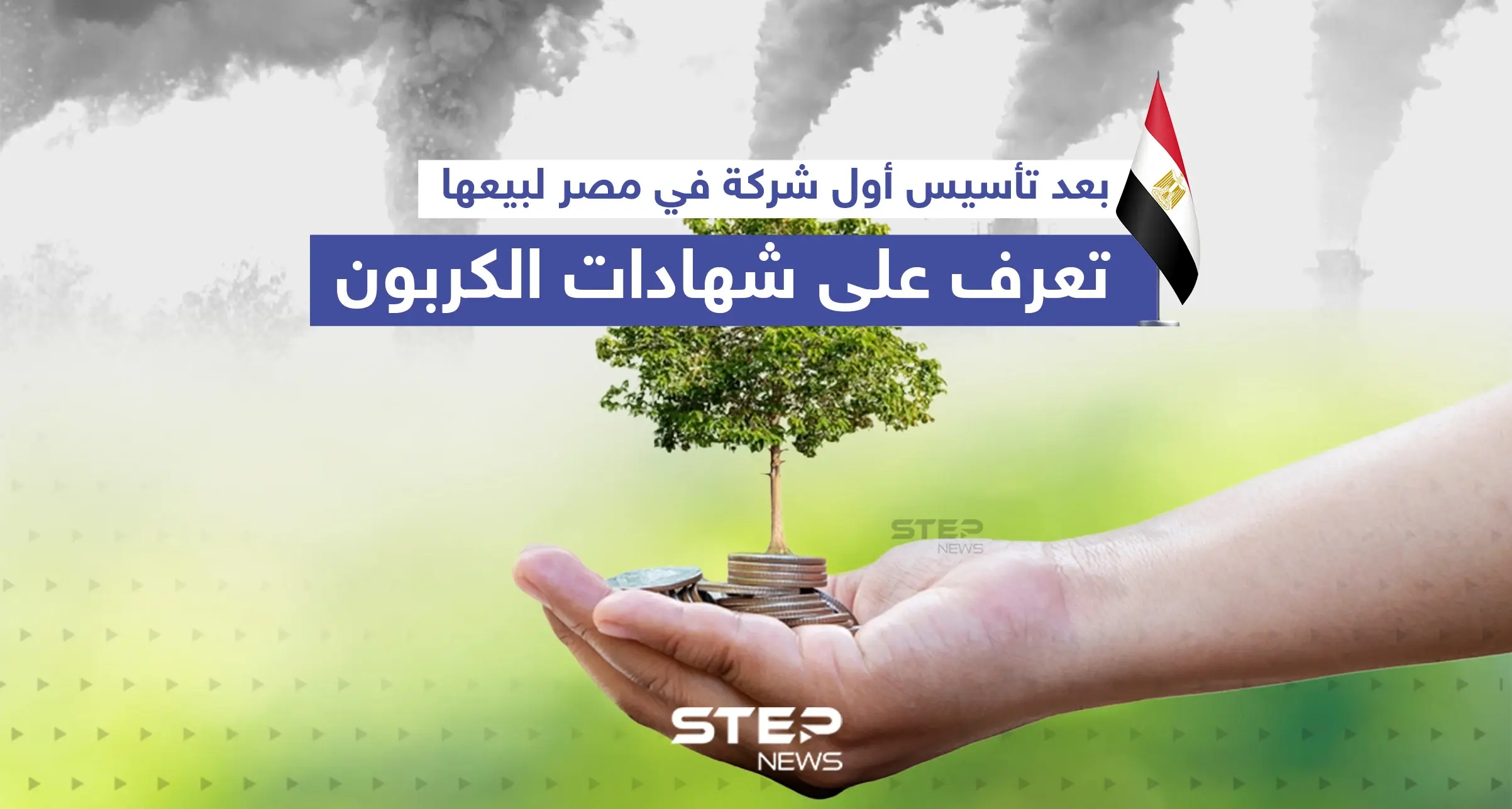 تعرف على شهادات الكربون التي ستبدأ مصر ببيعها قريباً: إنفوغرافيك