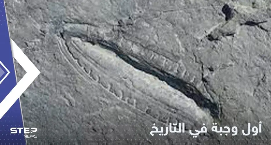 "أقدم وجبة في التاريخ".. علماء يتوصلون لاكتشاف مدهش: اكتشاف علمي