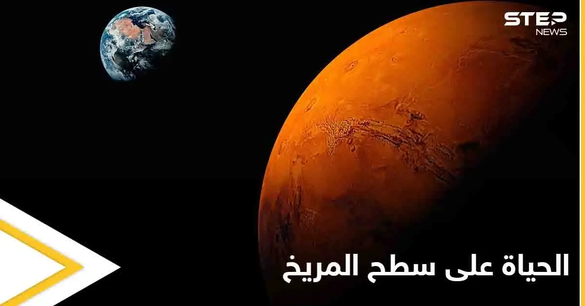 دليل على وجود الحياة في المريخ.. عالم أمريكي ينشر صورة تثير الجدل بشكل كبير: عالم أمريكي