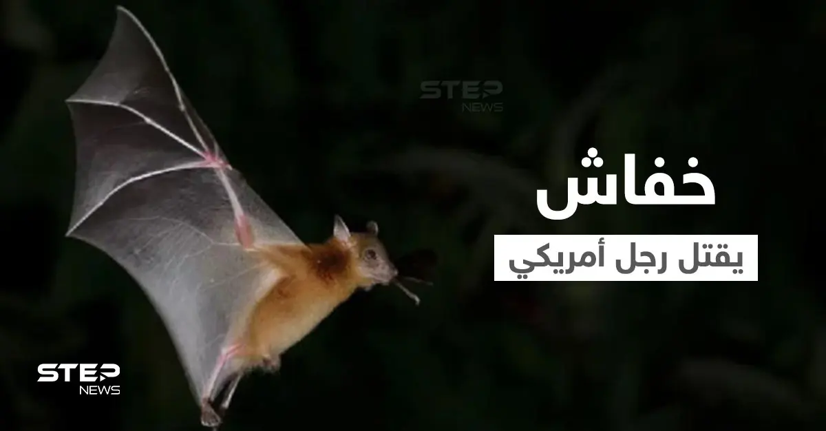 بعد اكتشاف مستعمرة خفافيش في منزله.. رجل أمريكي يقتله داء السعار: الخفافيش