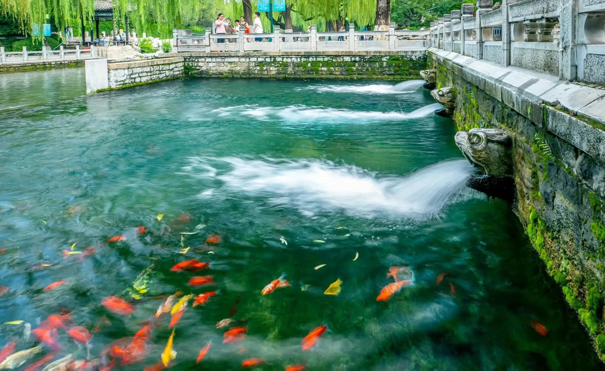 الصين - عدسة الجمهور - وكالة ستيب نيوز