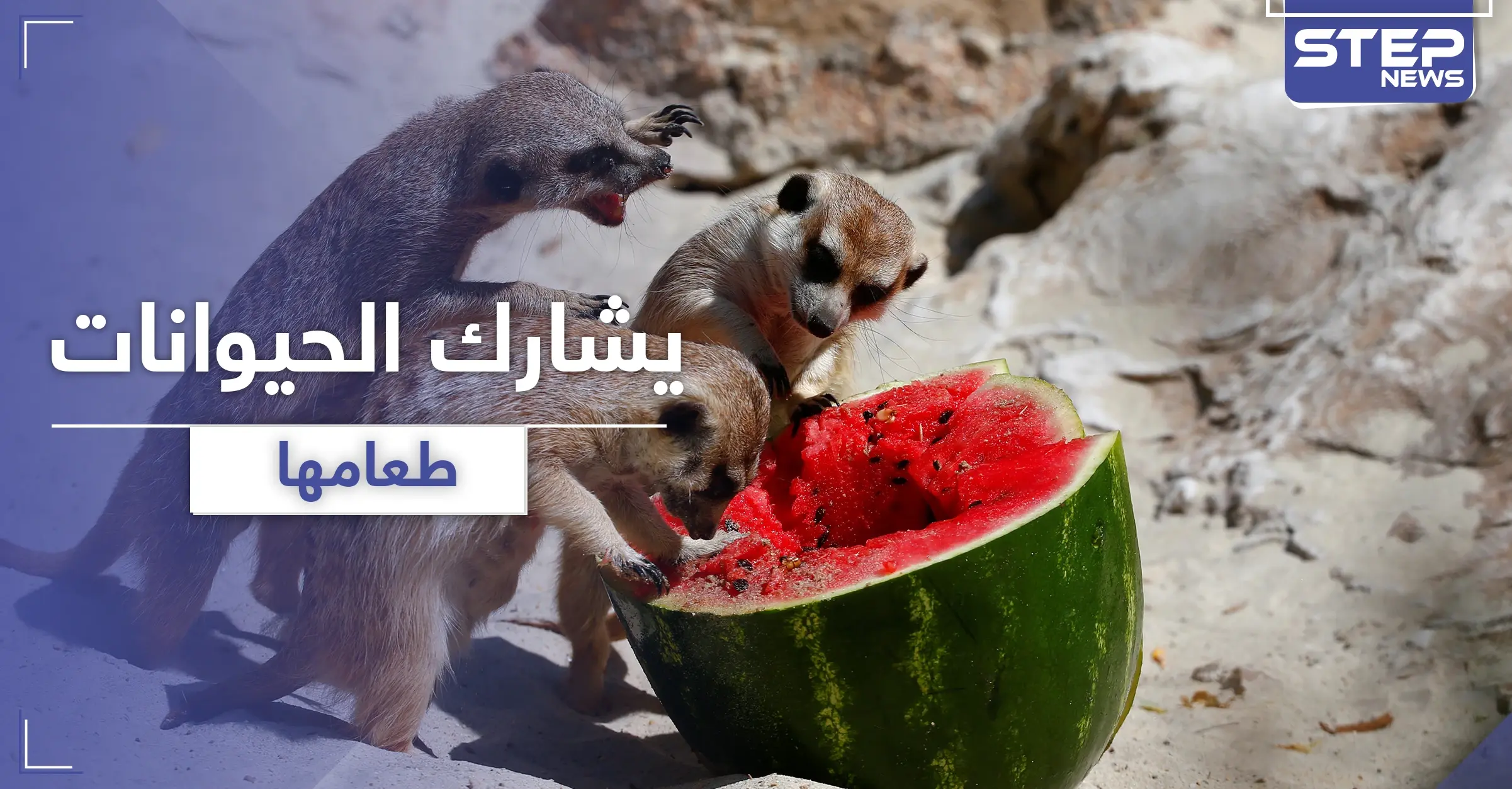 بالفيديو || مدرس صيني يأكل مع الحيوانات طعامها المفضل: افتراس الحيوانات