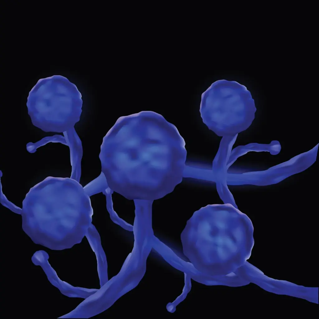 دولة خليجية تعلن عن 3 حالات مؤكدة لـ "الفطر الأسود" عند مرضى بكورونا: الفطر الأسود