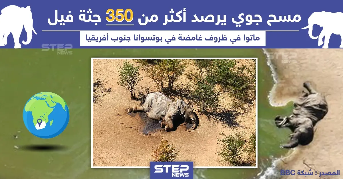 موت 350 فيل في ظروف غامضة بجنوب أفريقيا: فيل