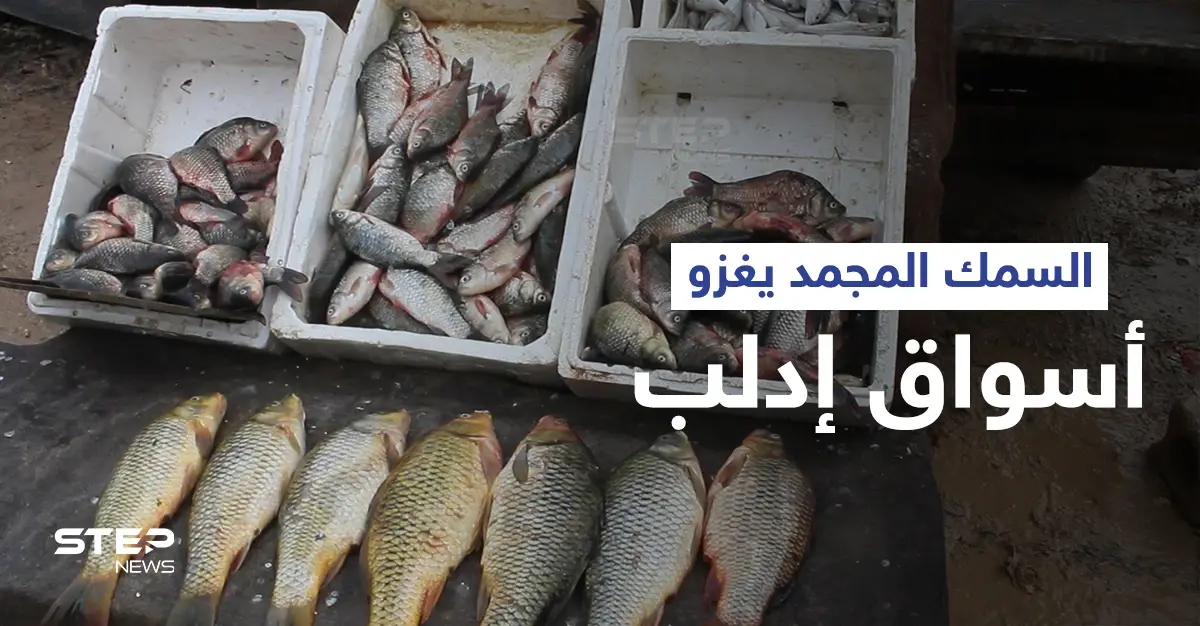 الأسماك المجمدة تغزو أسواق محافظة إدلب تماشياً مع حالة الفقر في المنطقة: التقارير المصورة