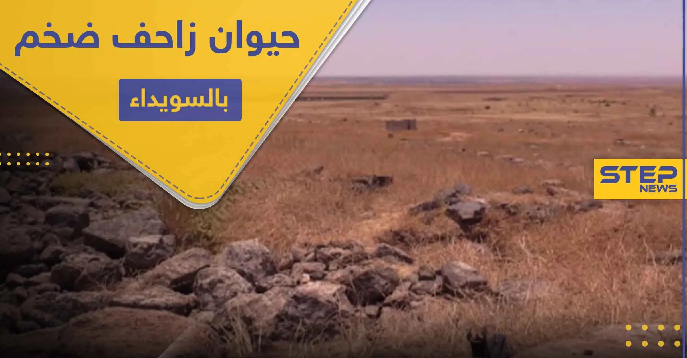 بالصور ظهور حيوان زاحف ضخم في بادية السويداء لأول مرة: اليونسكو