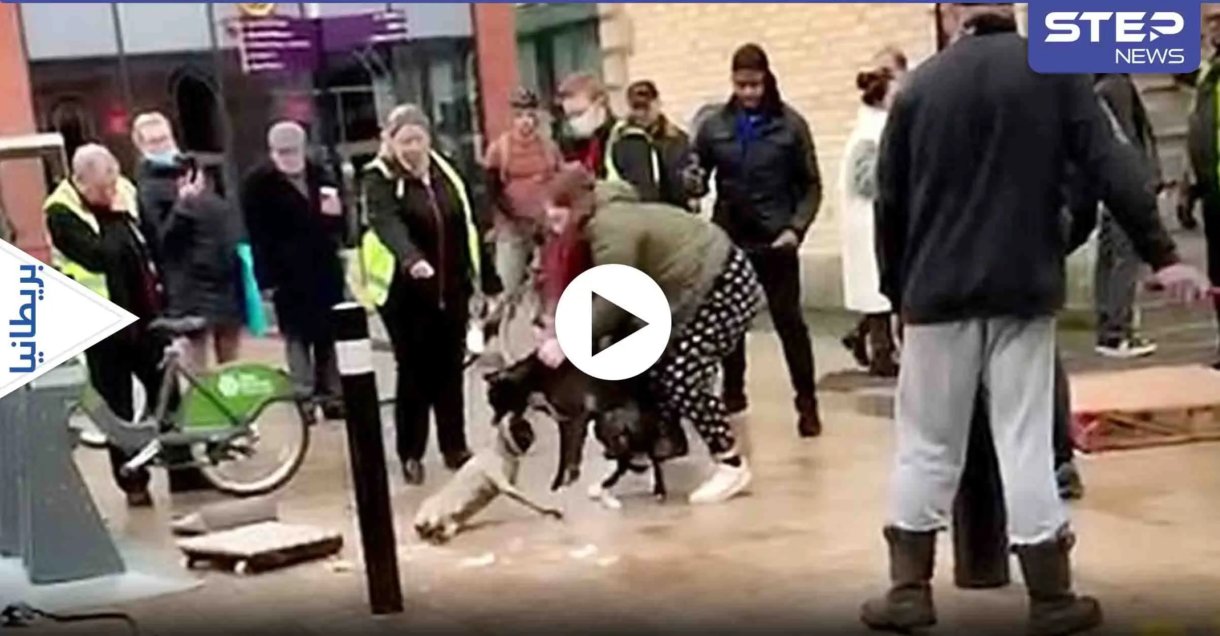 شاهد بالفيديو|| مزقه وكأنه خرقة.. كلب شرس يهاجم آخر لمدة عشرين دقيقة في شارع مزدحم رغم محاولات المارة بفك الاشتباك بينهما: كلب