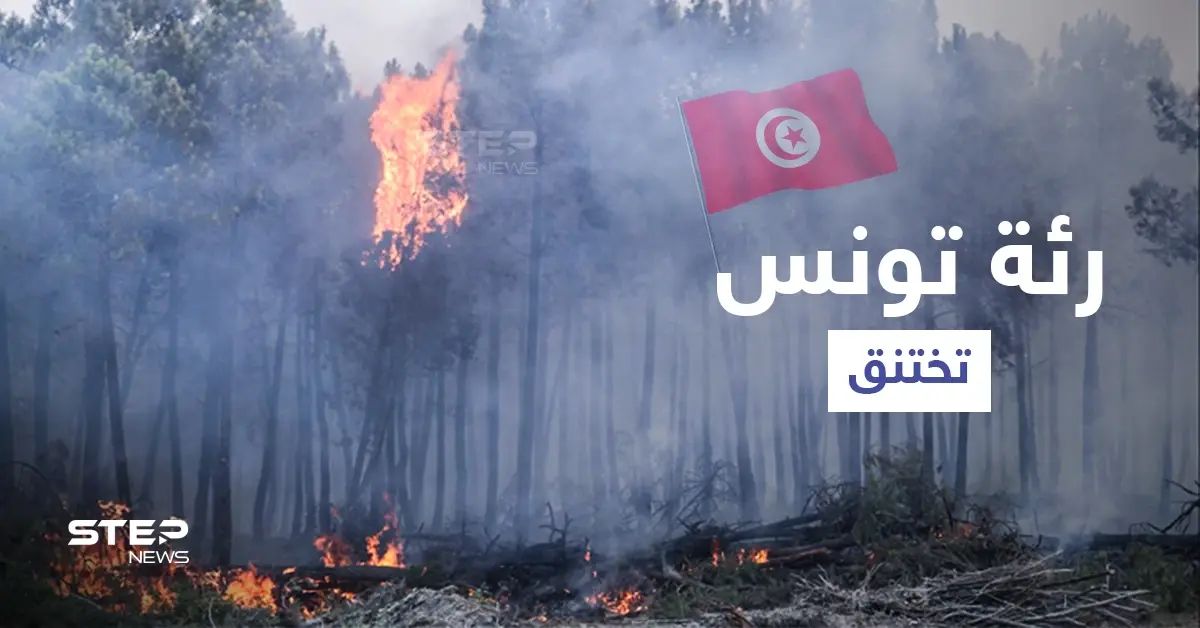 بالفيديو|| رئة تونس تختنق.. إعصار ناري يثير الفزع والسلطات تكابد منعاً لتكرار كارثة الجزائر (صور): الغابات