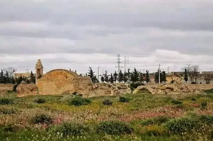 تونس - عدسة الجمهور - وكالة ستيب نيوز