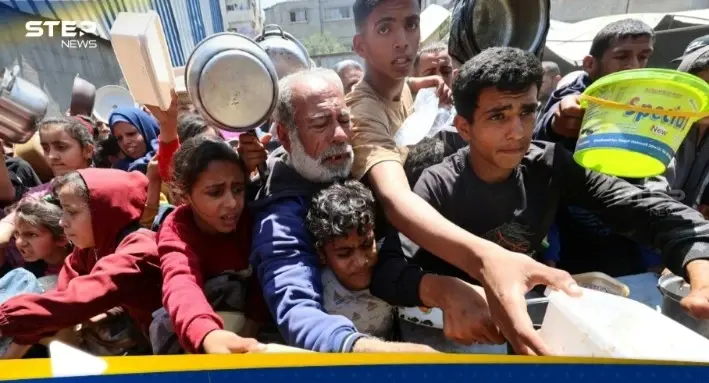 نائبة جمهورية توجه نداء مطولا بشأن غزة: اخبار 24 ساعة