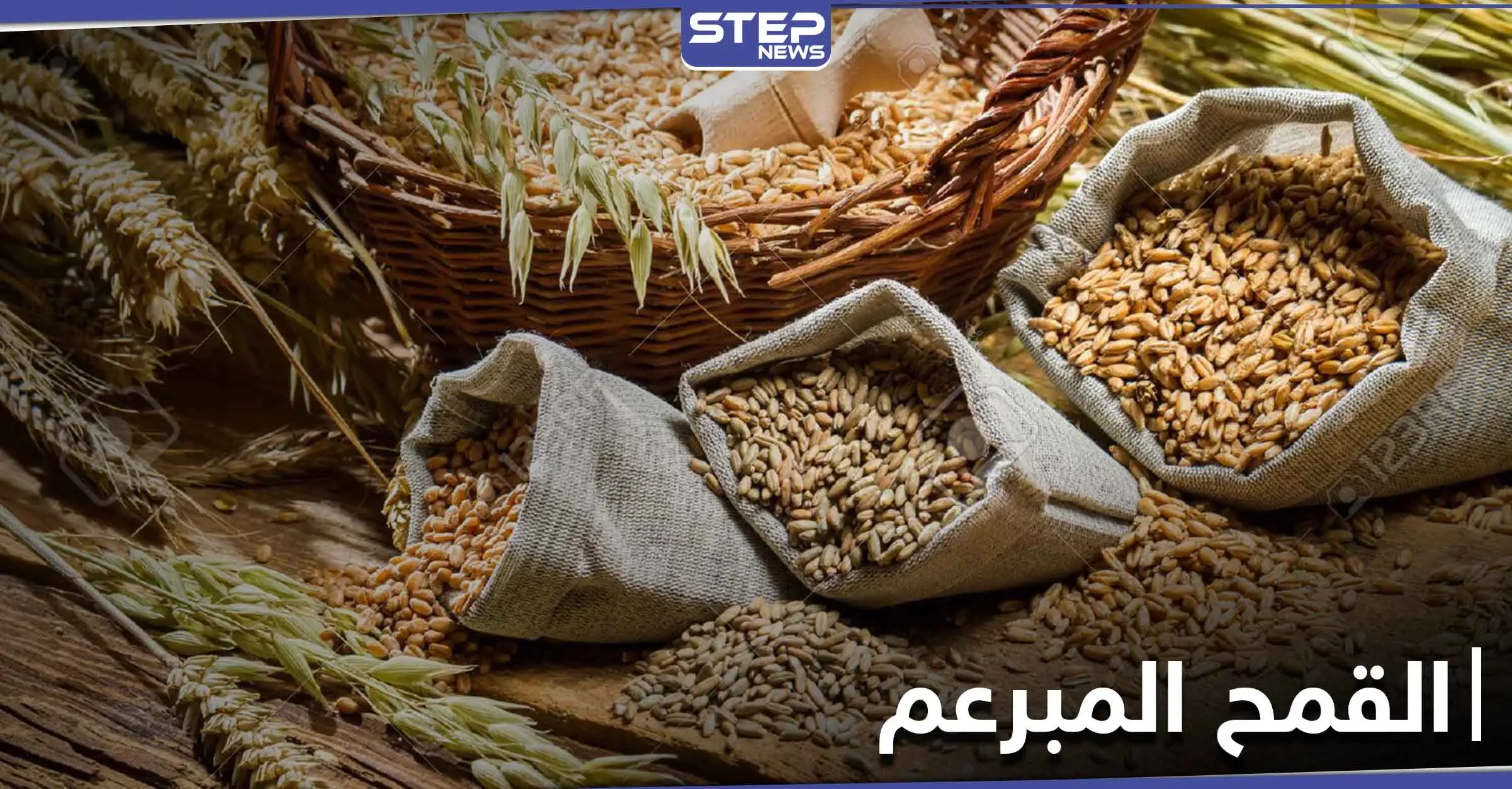 القمح المبرعم ثورة في عالم الغذاء .. فوائده الكثيرة وأسرار استنباته: الدورة الدموية