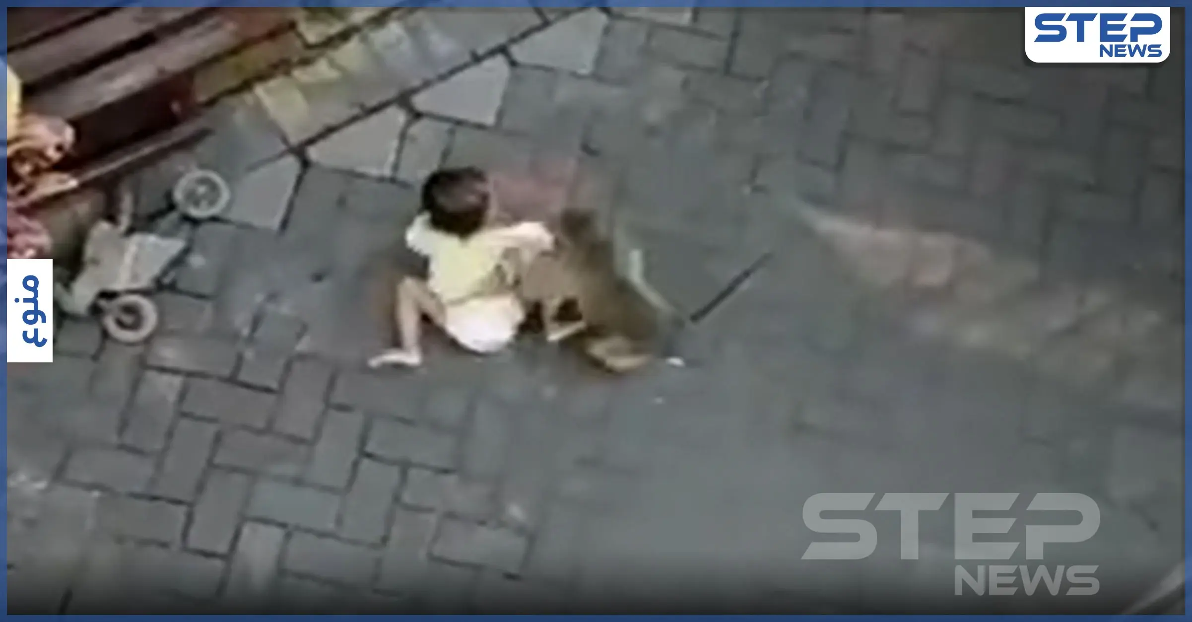 شاهد بالفيديو.. قرد على دراجة يخطف طفلة صغيرة و "يسحلها": إندونيسيا