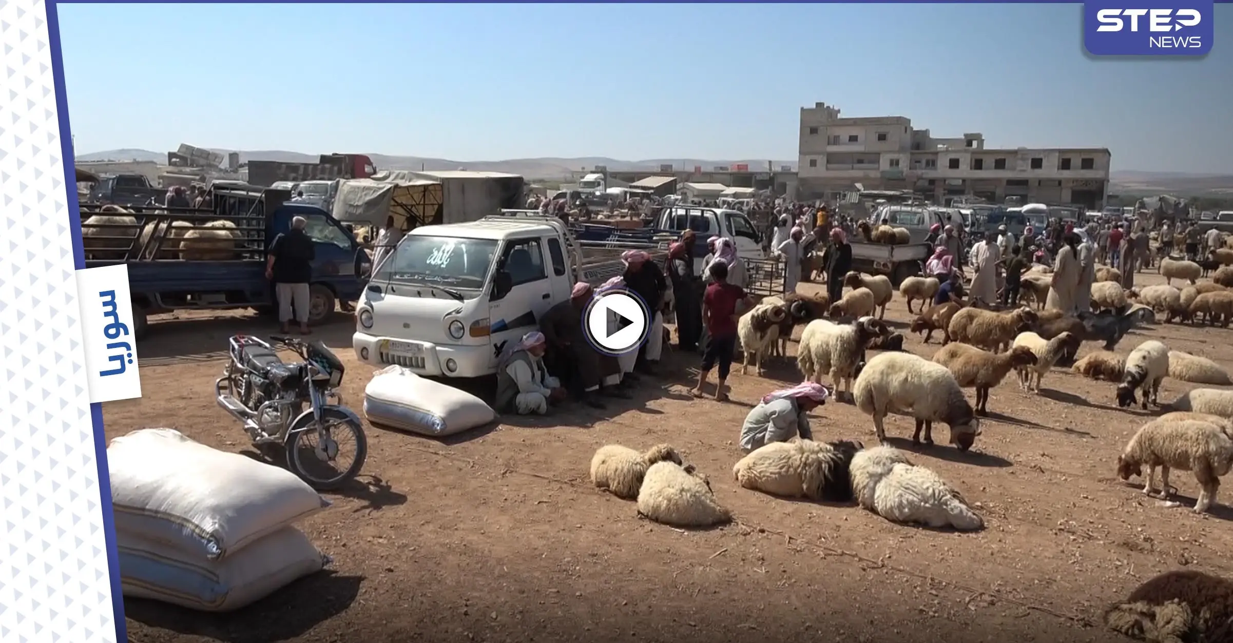 مع اقتراب عيد الأضحى .. أضاحي العيد تنتظر المشترين مع غياب القدرة الشرائية لسكان الشمال السوري: أضاحي العيد