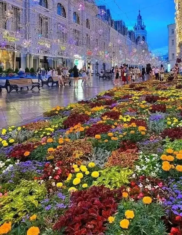 روسيا - عدسة الجمهور - وكالة ستيب نيوز