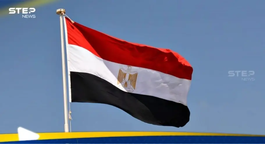حملة أمنية واسعة في مصر لضبط صناع المحتوى "الخادش للحياء": اخبار العالم العربي