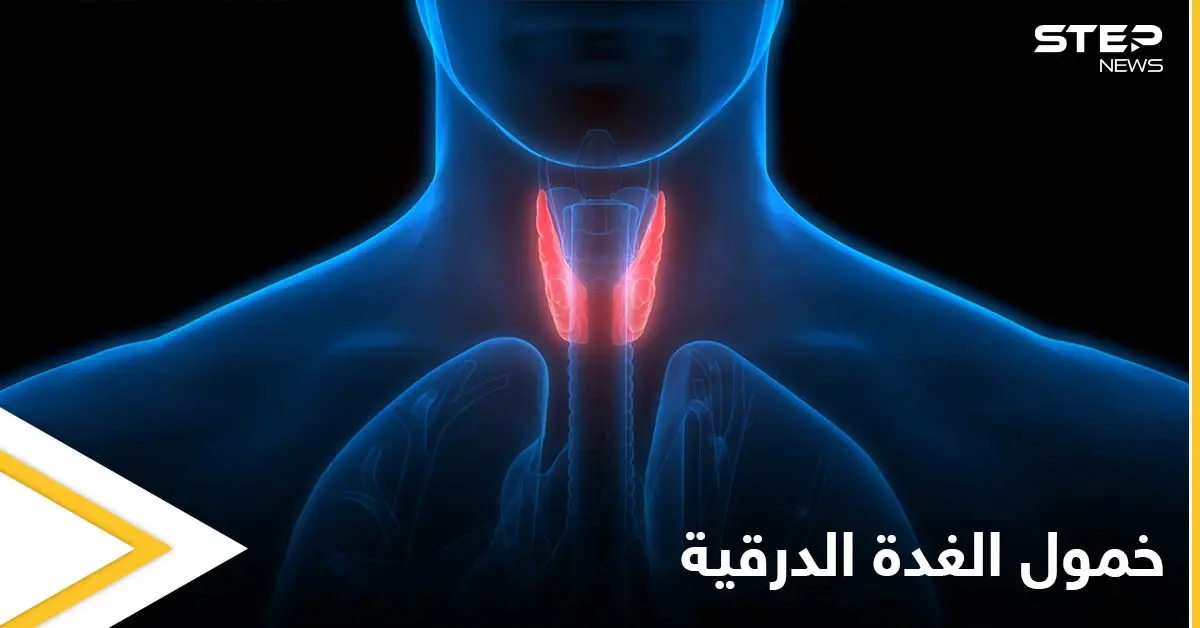 خطورة خمول الغدة الدرقية وأعراضها في المراحل العمرية المختلفة: الغدة الدرقية
