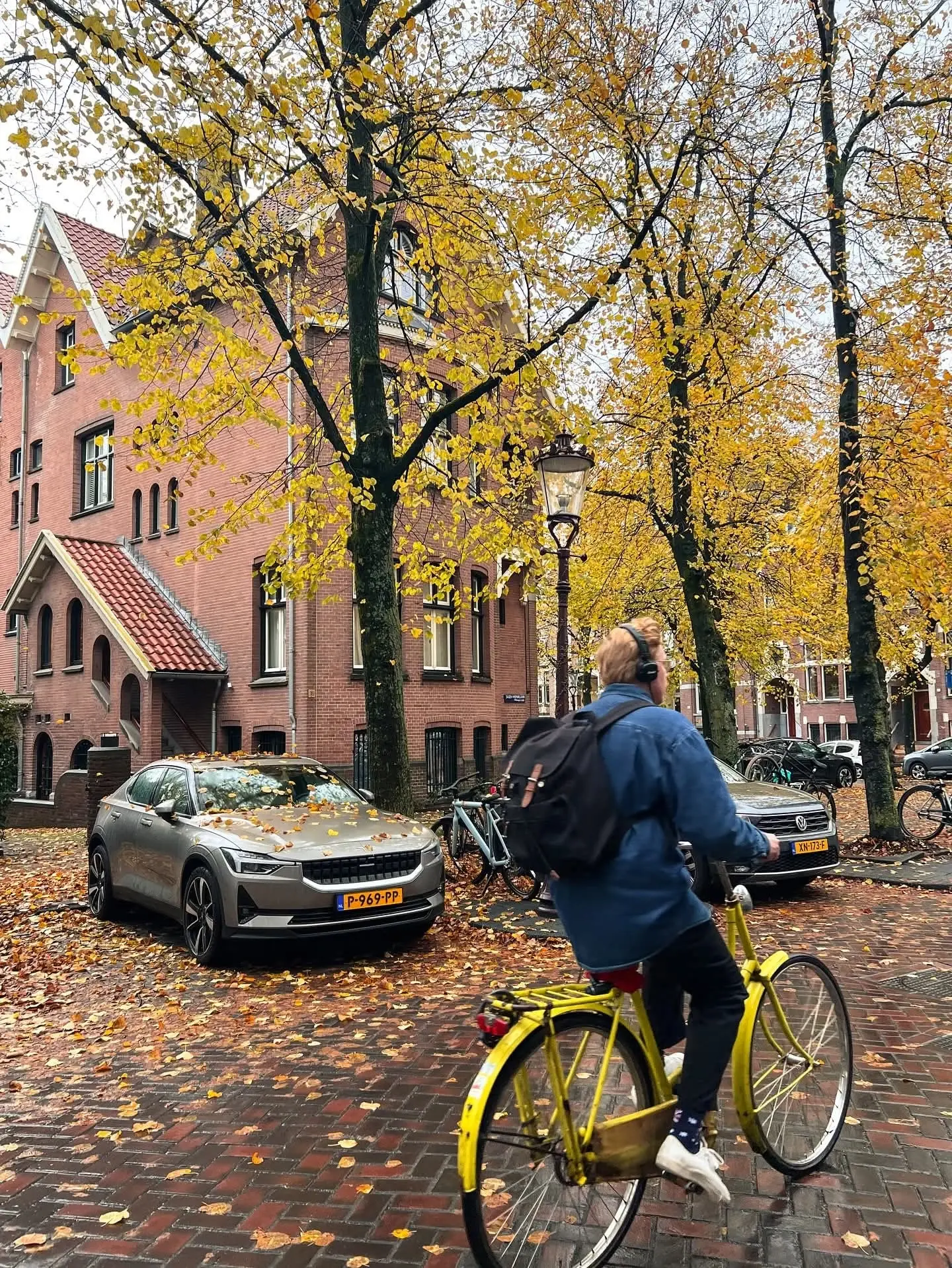 هولندا - عدسة الجمهور - وكالة ستيب نيوز