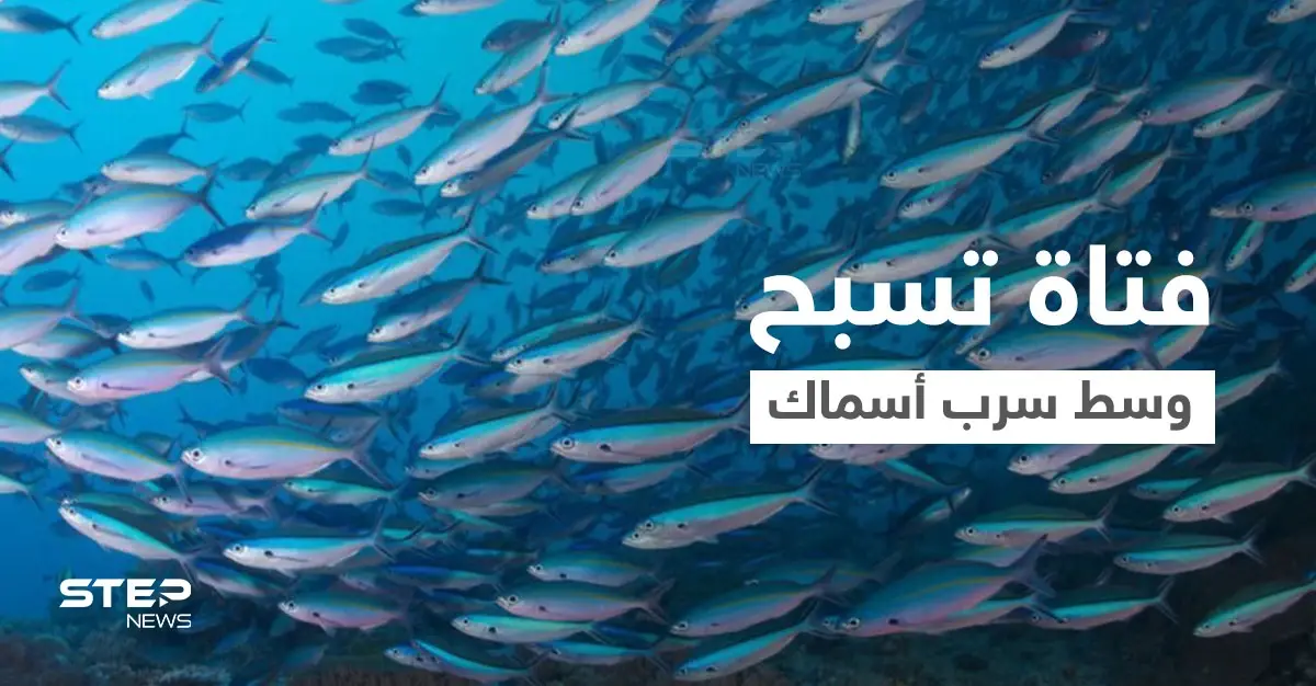 بالفيديو|| بملابس السباحة فتاة تسبح وسط سرب من الأسماك في أعماق البحر وتصبح واحدة منها: البحار