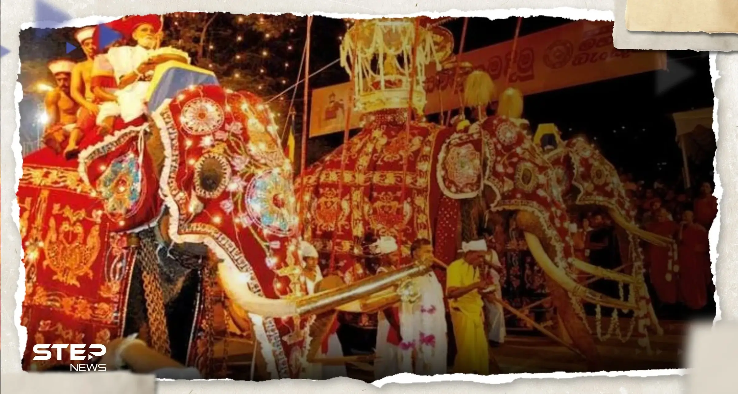 شاهد || أفيال هائجة تُهاجم العشرات خلال احتفال ديني في سريلانكا: سريلانكا