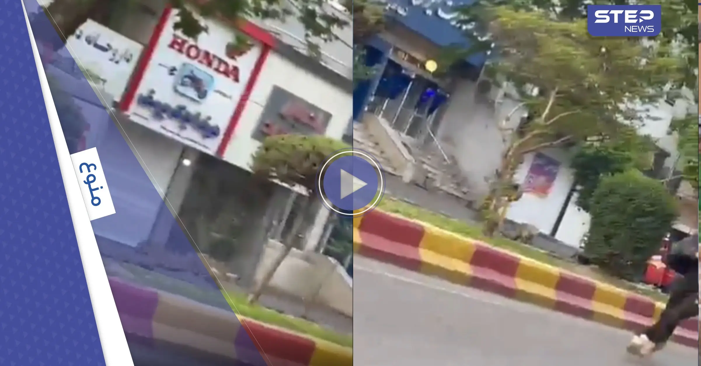 شاهد|| فهد شارد يثير الذعر في مدينة إيرانية.. وينقض على شرطي: منوعات