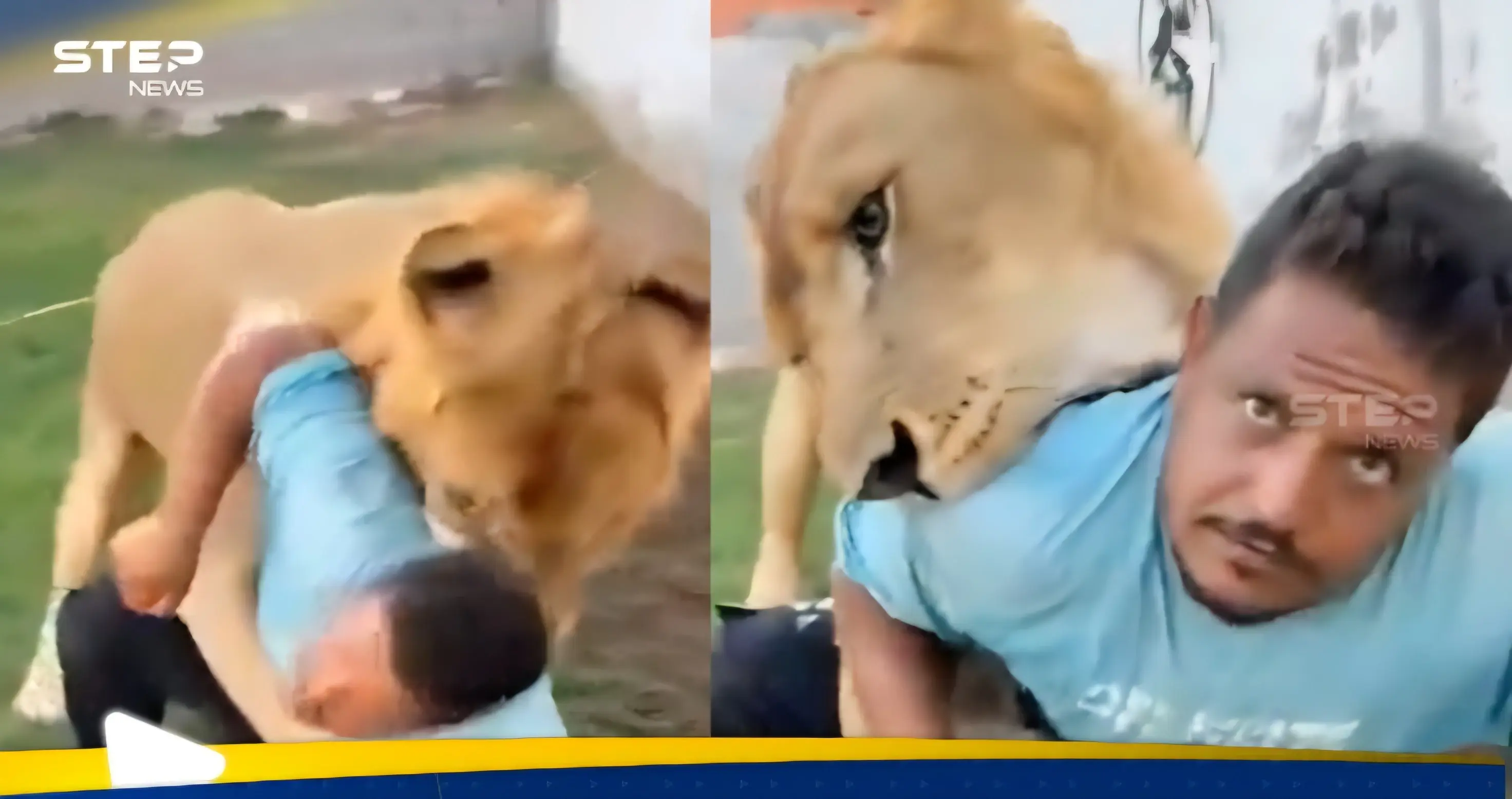 في مشهد صادم.. ليبي يطلق أسده على عامل مصري (فيديو): شاهد بالفيديو