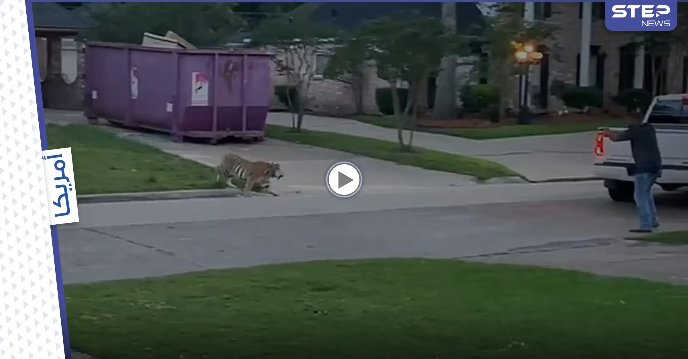 لحظات مرعبة عاشها شرطي أمريكي في مواجهة نمر بنغالي وسط طريق في ولاية تكساس (فيديو): شاهد بالفيديو