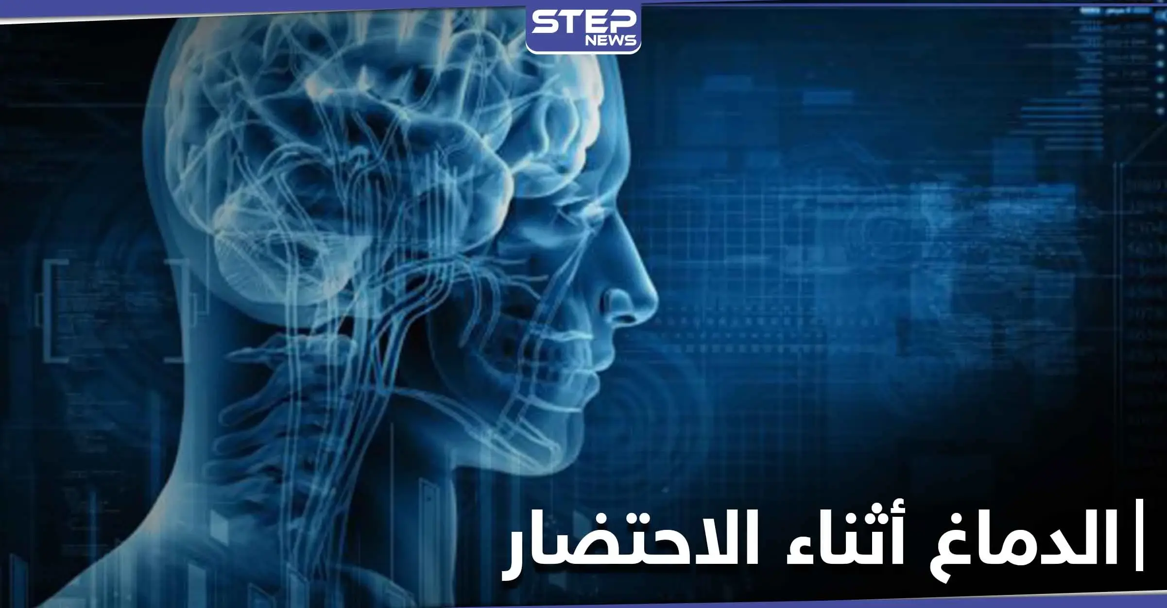 دراسة تكشف ماذا يحصل داخل الدماغ أثناء الاحتضار في لحظات قبل الموت: نشاط الدماغ