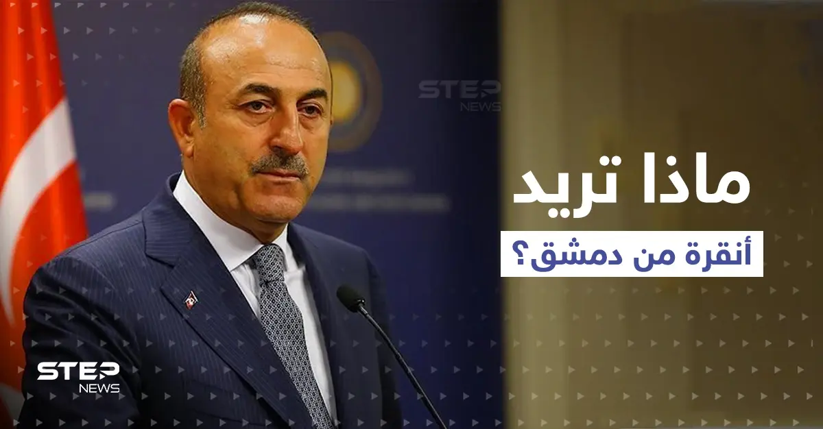 وزير الخارجية التركي يتحدث عن تقسيم سوريا.. ويدعو النظام السوري والمعارضة للاتفاق على أمرين: تقسيم سوريا