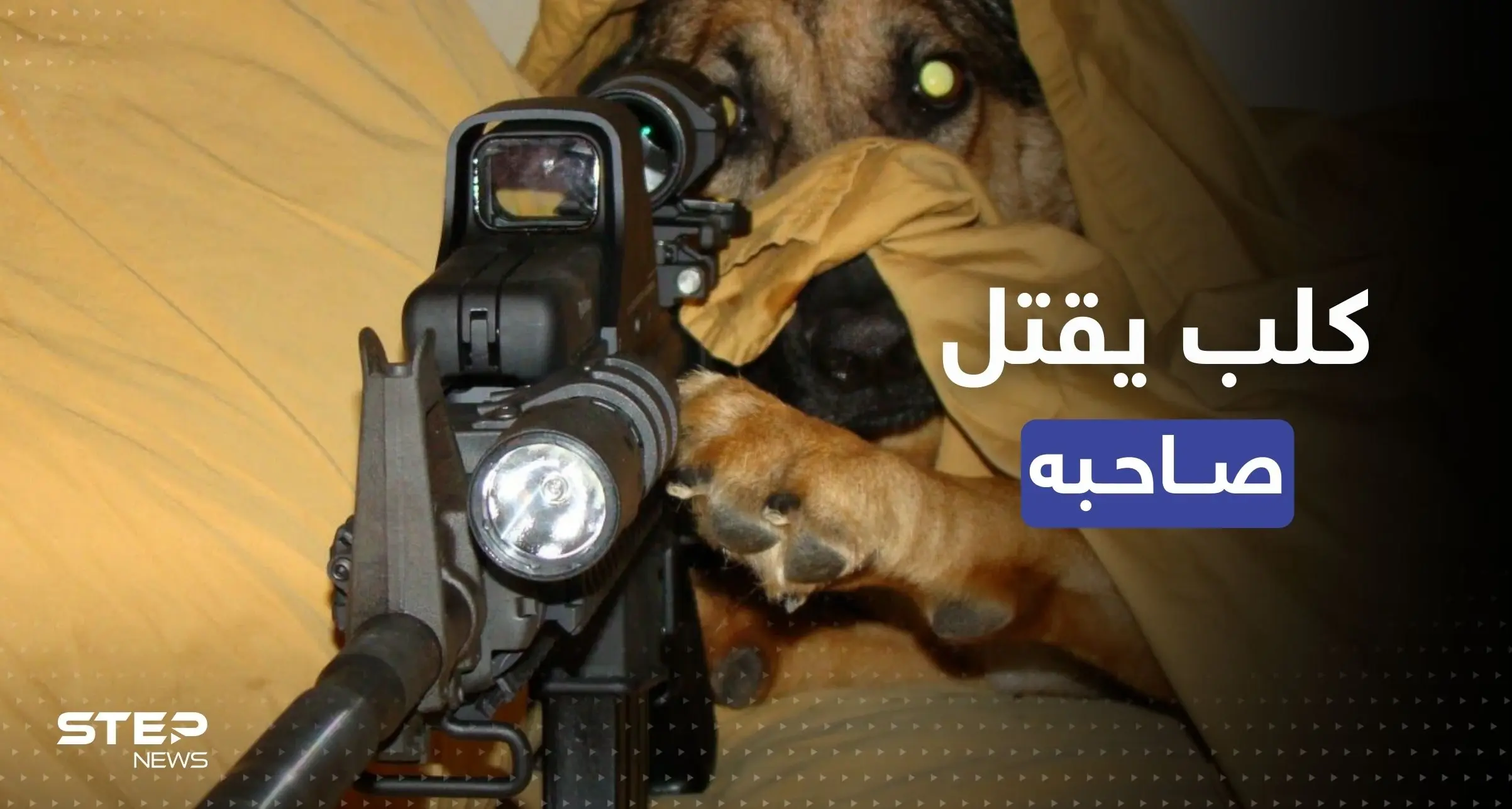 كلب يُطلق النار على صاحبه ويقتله.. كيف حصل ذلك؟: كلب يقتل صاحبه