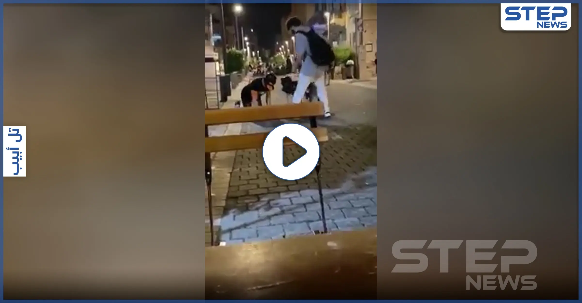 بالفيديو|| بمشهد غير مألوف.. ظهور كلاب بشرية وسط الشوارع الإسرائيلية وشخص يجرهم: مشهد غريب