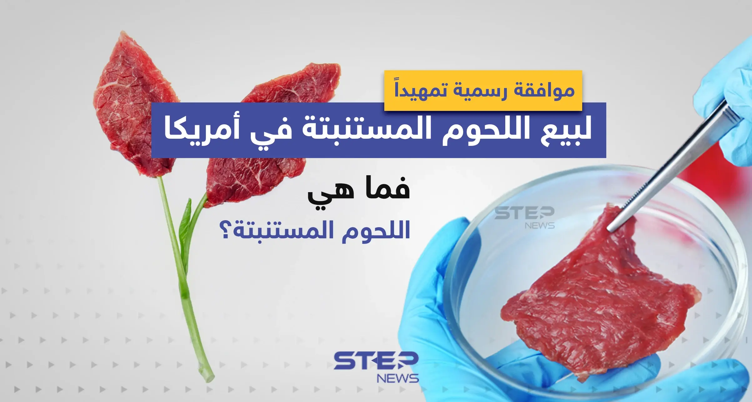 موافقة رسمية تمهيداً لبيع اللحوم المستنبتة في أمريكا ... فما هي اللحوم المستنبتة؟: إنفوغرافيك