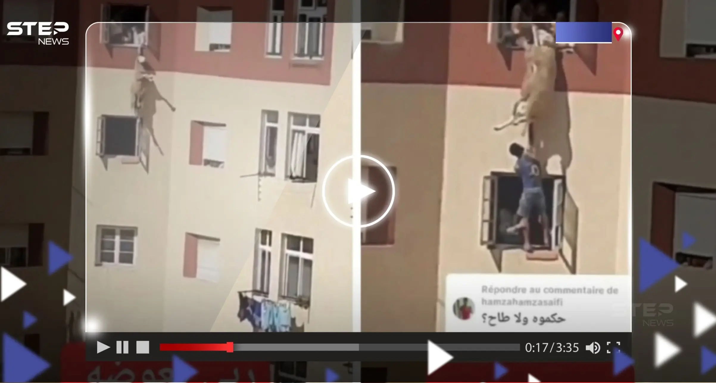 غداة عيد الأضحى.. مغامرة لإنقاذ خروف قفز من نافذة أحد المباني وظل معلقاً في الهواء (فيديو): أضحية العيد