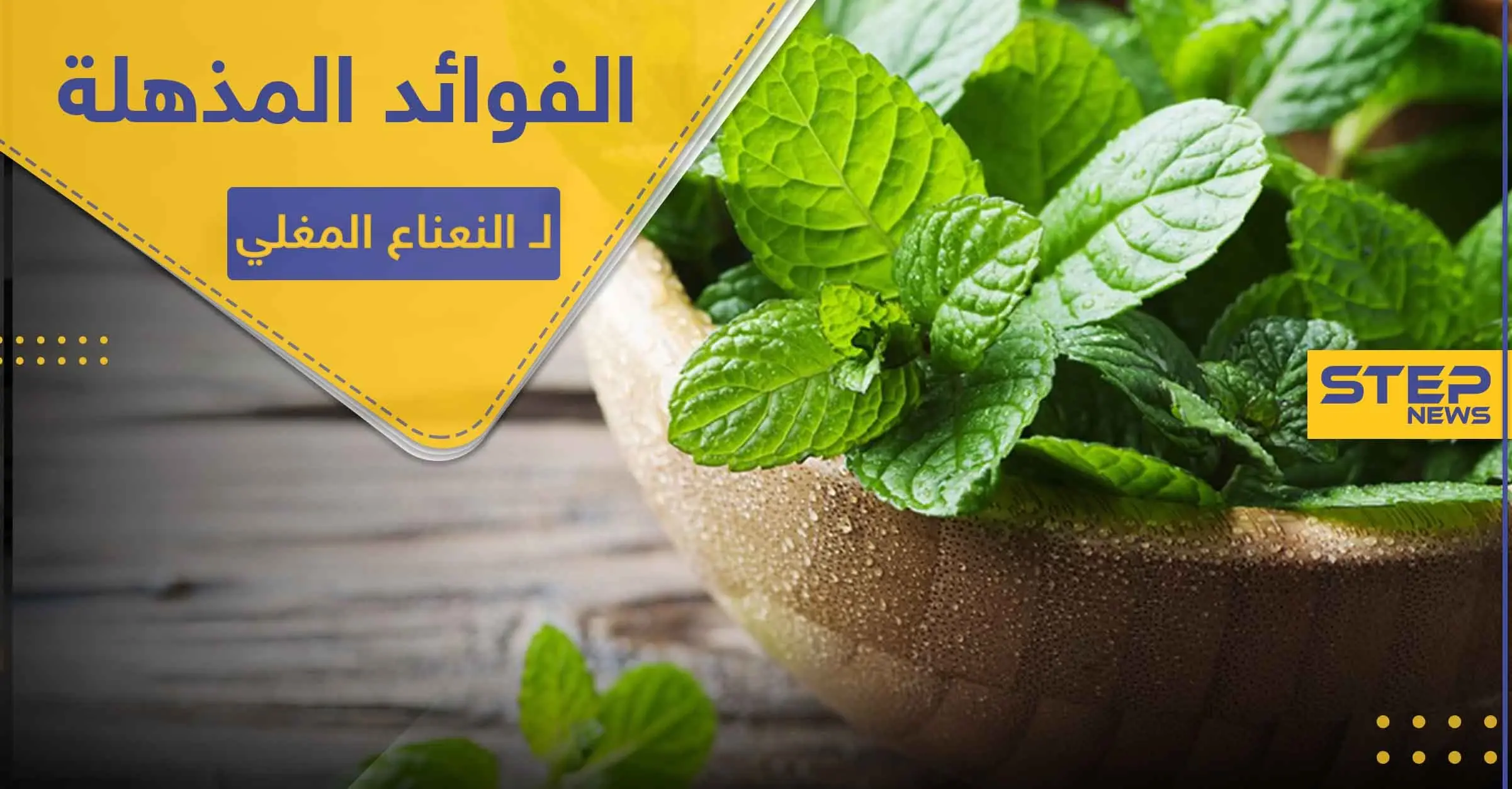 إنقاص الوزن وتعزيز جهاز المناعة.. تعرف على فوائد النعناع المغلي المذهلة: النعناع