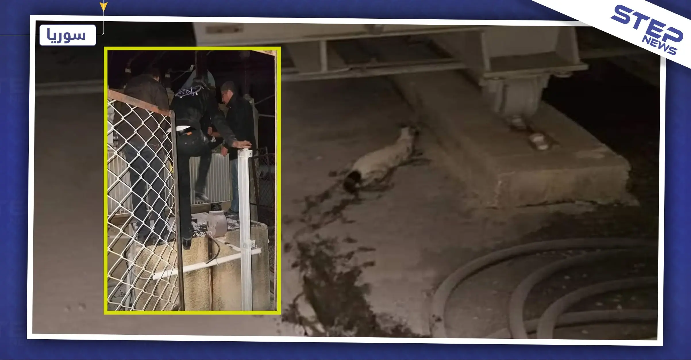 "قط" يتسبب بقطع الكهرباء عن مدينة جبلة وريفها، وورشات الكهرباء تستنفر: قطة