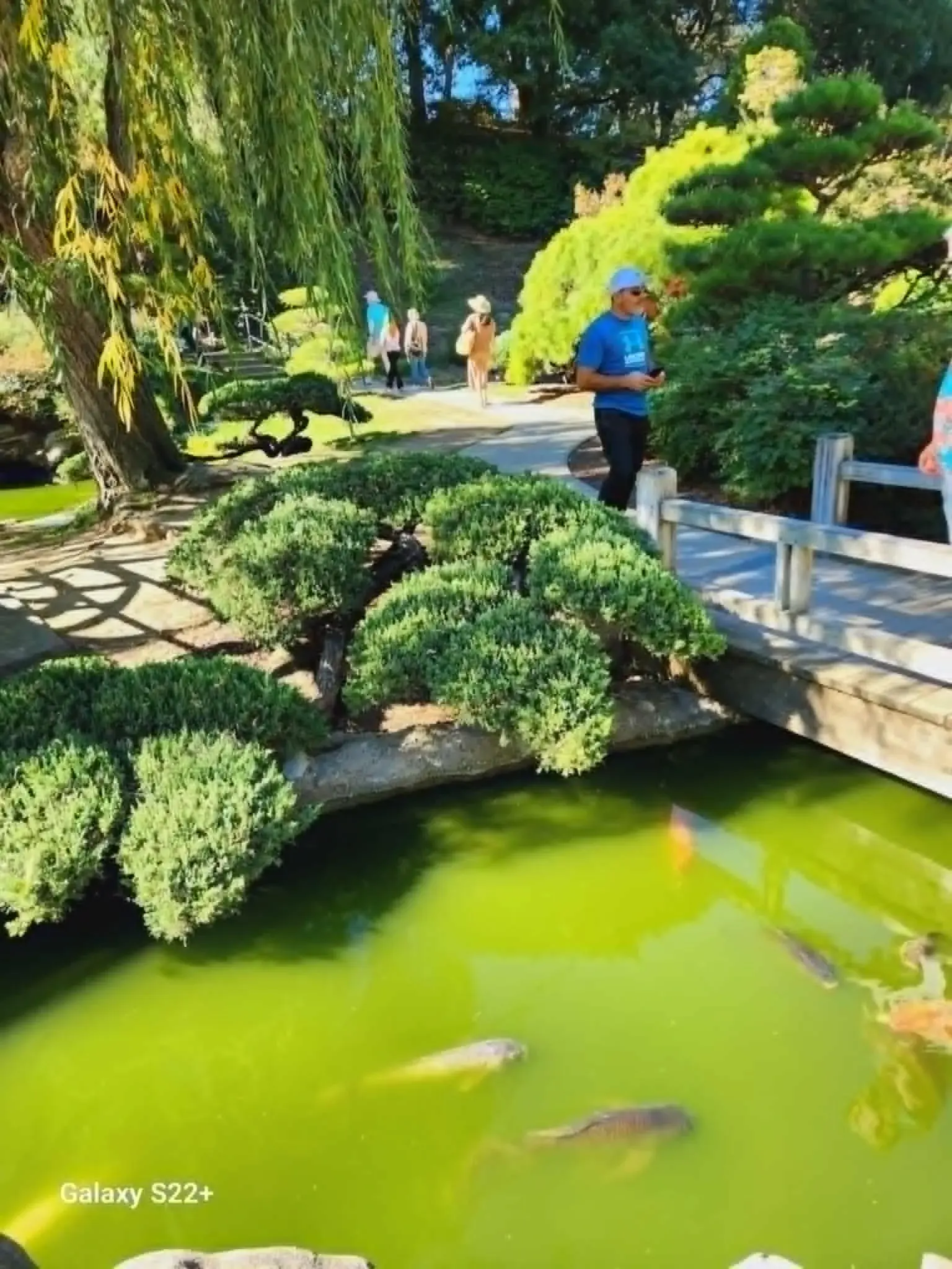 الولايات المتحدة - عدسة الجمهور - وكالة ستيب نيوز