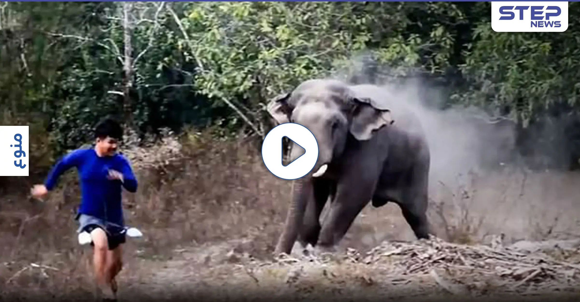 بالفيديو|| فيل بري غاضب يطرد الشرطة دفاعاً عن رفاقه بعد دخولهم إلى قرية تايلندية: الحياة البرية