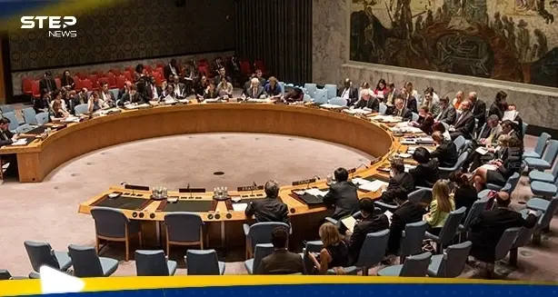 خلال جلسة مجلس الأمن.. إيران تدعو جميع القوات الأجنبية لمغادرة سوريا وتركيا تقول كلمتها: القوات التركية في سوريا