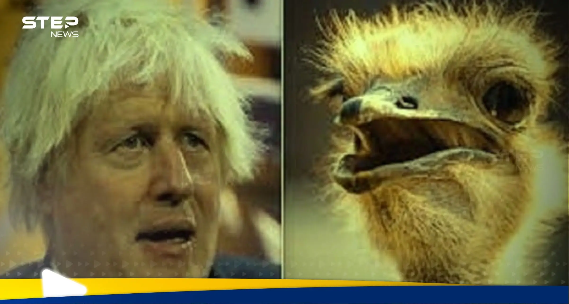 شاهد|| نعامة أمريكية تعض بوريس جونسون نقراً بمنقارها.. ومفاجأة برد فعل زوجته وولده: اخبار 24 ساعة