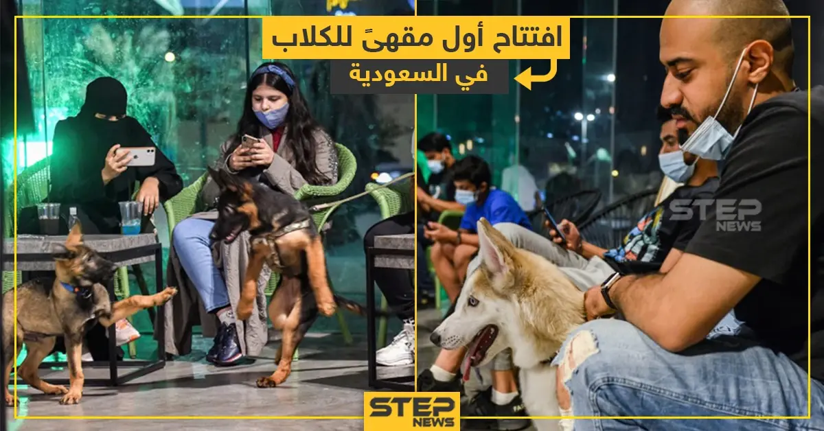 افتتاح أول مقهى للكلاب في السعودية: مقهى للكلاب