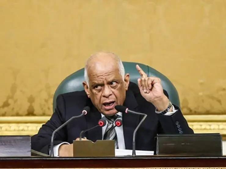 البرلمان المصري يدخل على خط مواجهة "المواقع الإباحية" ويقول كلمته الفصل: نائب مصري